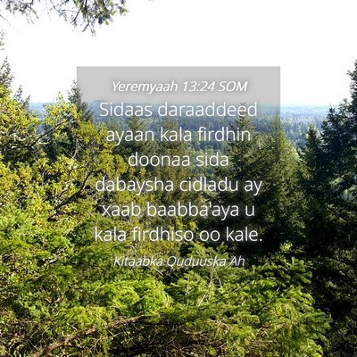 Picture 04 - Yeremyaah 13:24 SOM - Sidaas daraaddeed ayaan kala firdhin doonaa sida - Bible Verse Picture