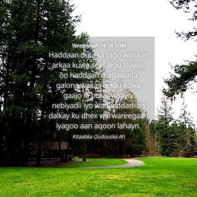 Picture 04 - Yeremyaah 14:18 SOM - Haddaan duurka tago waxaan arkaa kuwa seef lagu - Bible Verse Picture