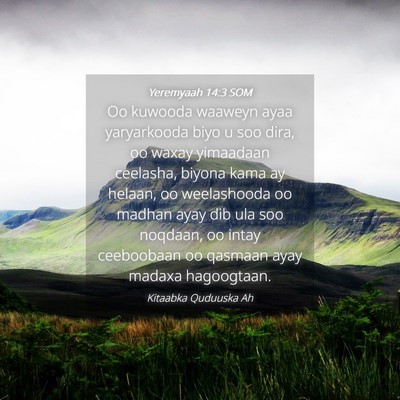 Picture 04 - Yeremyaah 14:3 SOM - Oo kuwooda waaweyn ayaa yaryarkooda biyo u soo - Bible Verse Picture