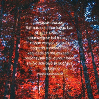 Picture 04 - Yeremyaah 15:18 SOM - Bal maxaa xanuunkaygu had iyo goor u sii jiraa, - Bible Verse Picture