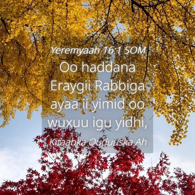 Picture 04 - Yeremyaah 16:1 SOM - Oo haddana Eraygii Rabbiga ayaa ii yimid oo wuxuu - Bible Verse Picture