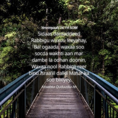 Picture 04 - Yeremyaah 16:14 SOM - Sidaas daraaddeed Rabbigu wuxuu leeyahay, Bal - Bible Verse Picture