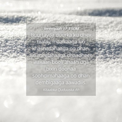 Picture 04 - Yeremyaah 17:3 SOM - Buurtayda duurka ku dhex taalay, maalkaaga iyo - Bible Verse Picture