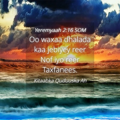 Picture 04 - Yeremyaah 2:16 SOM - Oo waxaa dhalada kaa jebiyey reer Nof iyo reer - Bible Verse Picture