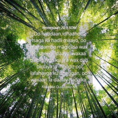 Picture 04 - Yeremyaah 20:9 SOM - Oo haddaan idhaahdo, Isaga ka hadli maayo, oo mar - Bible Verse Picture