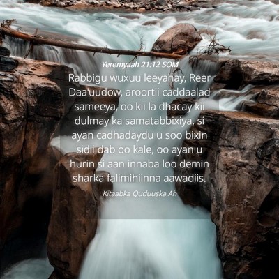 Picture 04 - Yeremyaah 21:12 SOM - Rabbigu wuxuu leeyahay, Reer Daa'uudow, aroortii - Bible Verse Picture
