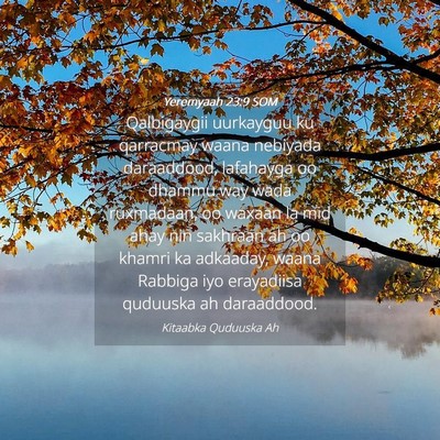 Picture 04 - Yeremyaah 23:9 SOM - Qalbigaygii uurkayguu ku qarracmay waana nebiyada - Bible Verse Picture