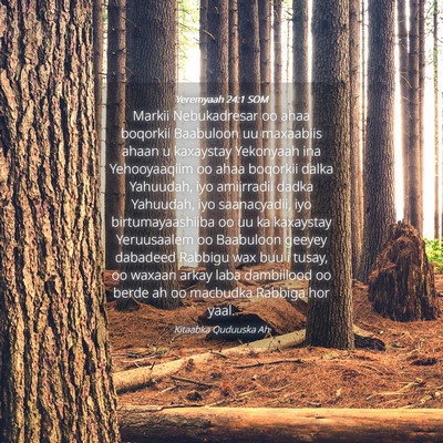 Picture 04 - Yeremyaah 24:1 SOM - Markii Nebukadresar oo ahaa boqorkii Baabuloon uu - Bible Verse Picture