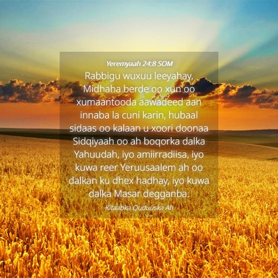 Picture 04 - Yeremyaah 24:8 SOM - Rabbigu wuxuu leeyahay, Midhaha berde oo xun oo - Bible Verse Picture