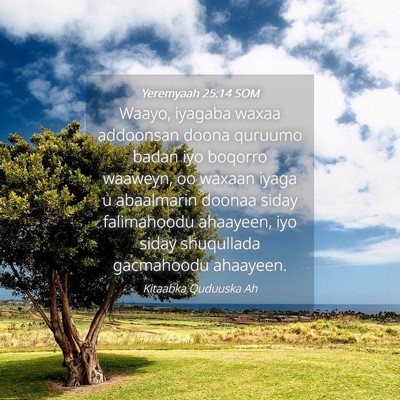 Picture 04 - Yeremyaah 25:14 SOM - Waayo, iyagaba waxaa addoonsan doona quruumo - Bible Verse Picture