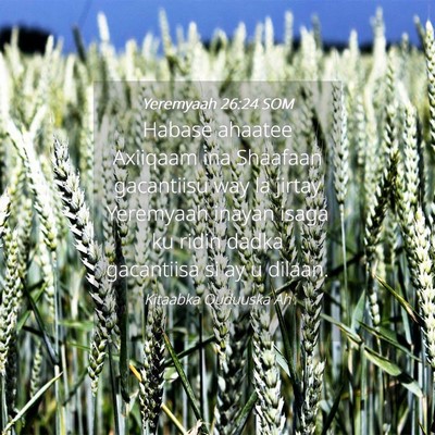 Picture 04 - Yeremyaah 26:24 SOM - Habase ahaatee Axiiqaam ina Shaafaan gacantiisu - Bible Verse Picture