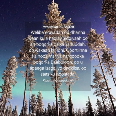 Picture 04 - Yeremyaah 27:12 SOM - Weliba erayadan oo dhanna waan kula hadlay - Bible Verse Picture