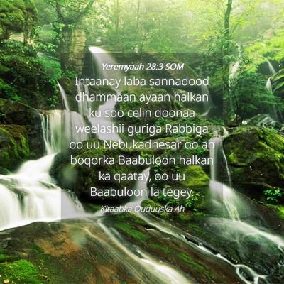 Picture 04 - Yeremyaah 28:3 SOM - Intaanay laba sannadood dhammaan ayaan halkan ku - Bible Verse Picture