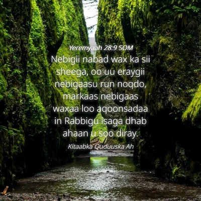Picture 04 - Yeremyaah 28:9 SOM - Nebigii nabad wax ka sii sheega, oo uu eraygii - Bible Verse Picture