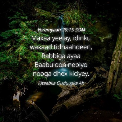 Picture 04 - Yeremyaah 29:15 SOM - Maxaa yeelay, idinku waxaad tidhaahdeen, Rabbiga - Bible Verse Picture