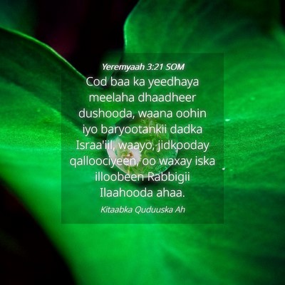 Picture 04 - Yeremyaah 3:21 SOM - Cod baa ka yeedhaya meelaha dhaadheer dushooda, - Bible Verse Picture