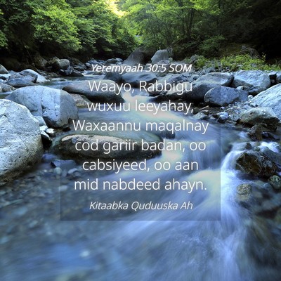Picture 04 - Yeremyaah 30:5 SOM - Waayo, Rabbigu wuxuu leeyahay, Waxaannu maqalnay - Bible Verse Picture