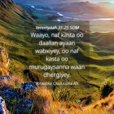 Picture 04 - Yeremyaah 31:25 SOM - Waayo, naf kasta oo daallan ayaan wabxiyey, oo - Bible Verse Picture