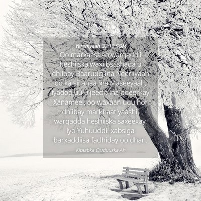 Picture 04 - Yeremyaah 32:12 SOM - Oo markaasaan warqaddii heshiiska waxiibsashada u - Bible Verse Picture