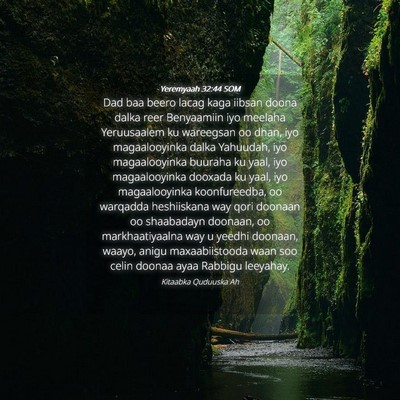 Picture 04 - Yeremyaah 32:44 SOM - Dad baa beero lacag kaga iibsan doona dalka reer - Bible Verse Picture