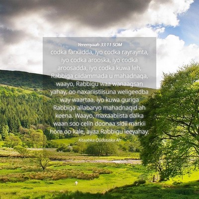 Picture 04 - Yeremyaah 33:11 SOM - codka farxadda, iyo codka rayraynta, iyo codka - Bible Verse Picture