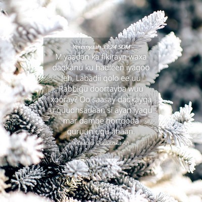 Picture 04 - Yeremyaah 33:24 SOM - Miyaadan ka fikirayn waxa dadkanu ku hadleen - Bible Verse Picture