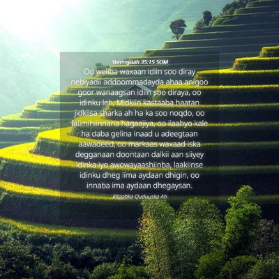 Picture 04 - Yeremyaah 35:15 SOM - Oo weliba waxaan idiin soo diray nebiyadii - Bible Verse Picture