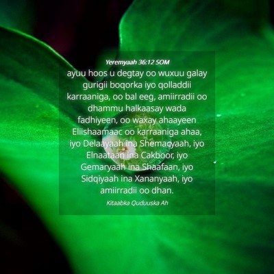 Picture 04 - Yeremyaah 36:12 SOM - ayuu hoos u degtay oo wuxuu galay gurigii boqorka - Bible Verse Picture
