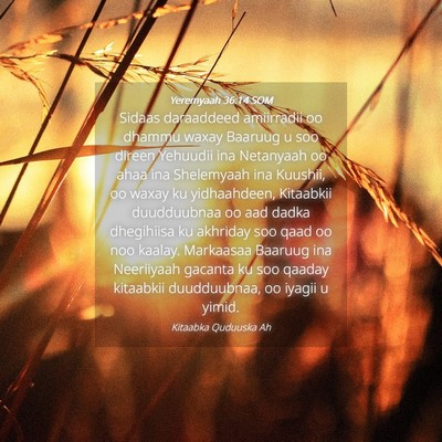 Picture 04 - Yeremyaah 36:14 SOM - Sidaas daraaddeed amiirradii oo dhammu waxay - Bible Verse Picture
