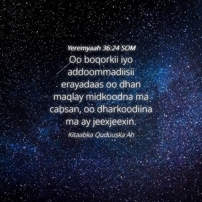 Picture 04 - Yeremyaah 36:24 SOM - Oo boqorkii iyo addoommadiisii erayadaas oo dhan - Bible Verse Picture