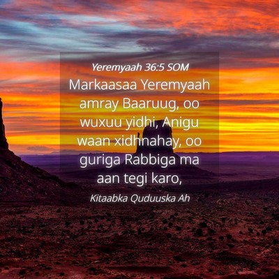 Picture 04 - Yeremyaah 36:5 SOM - Markaasaa Yeremyaah amray Baaruug, oo wuxuu - Bible Verse Picture