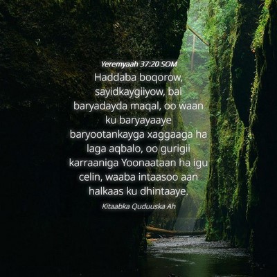 Picture 04 - Yeremyaah 37:20 SOM - Haddaba boqorow, sayidkaygiiyow, bal baryadayda - Bible Verse Picture