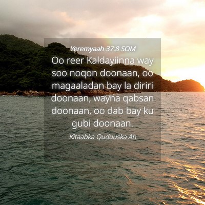 Picture 04 - Yeremyaah 37:8 SOM - Oo reer Kaldayiinna way soo noqon doonaan, oo - Bible Verse Picture