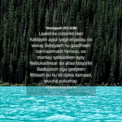 Picture 04 - Yeremyaah 39:5 SOM - Laakiinse ciidankii reer Kaldayiin ayaa iyagii - Bible Verse Picture