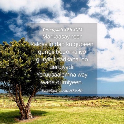 Picture 04 - Yeremyaah 39:8 SOM - Markaasay reer Kaldayiin dab ku gubeen gurigii - Bible Verse Picture