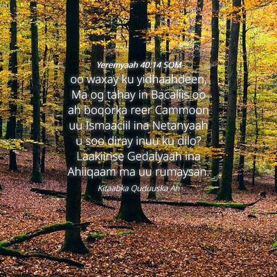Picture 04 - Yeremyaah 40:14 SOM - oo waxay ku yidhaahdeen, Ma og tahay in Bacaliis - Bible Verse Picture