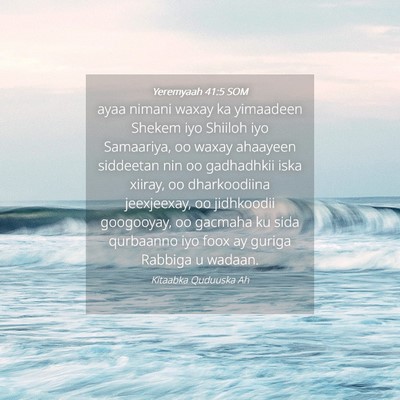 Picture 04 - Yeremyaah 41:5 SOM - ayaa nimani waxay ka yimaadeen Shekem iyo Shiiloh - Bible Verse Picture