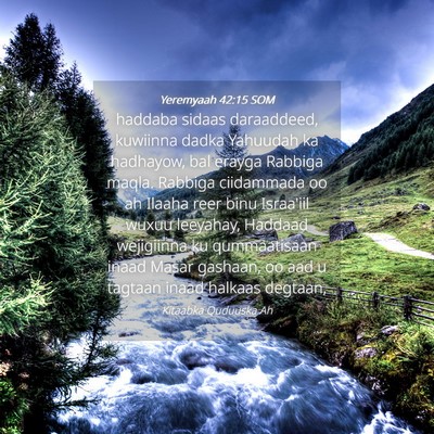 Picture 04 - Yeremyaah 42:15 SOM - haddaba sidaas daraaddeed, kuwiinna dadka - Bible Verse Picture
