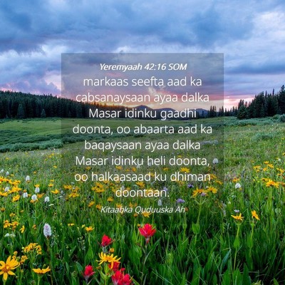 Picture 04 - Yeremyaah 42:16 SOM - markaas seefta aad ka cabsanaysaan ayaa dalka - Bible Verse Picture