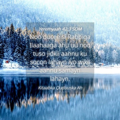 Picture 04 - Yeremyaah 42:3 SOM - Noo ducee si Rabbiga Ilaahaaga ahu uu noo tuso - Bible Verse Picture