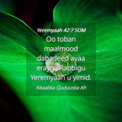 Picture 04 - Yeremyaah 42:7 SOM - Oo toban maalmood dabadeed ayaa eraygii Rabbigu - Bible Verse Picture