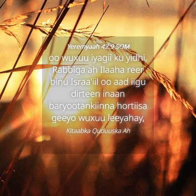 Picture 04 - Yeremyaah 42:9 SOM - oo wuxuu iyagii ku yidhi, Rabbiga ah Ilaaha reer - Bible Verse Picture