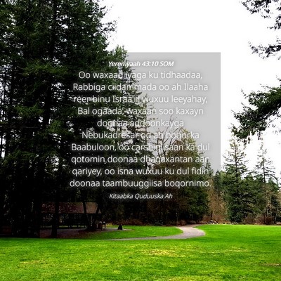 Picture 04 - Yeremyaah 43:10 SOM - Oo waxaad iyaga ku tidhaadaa, Rabbiga ciidammada - Bible Verse Picture