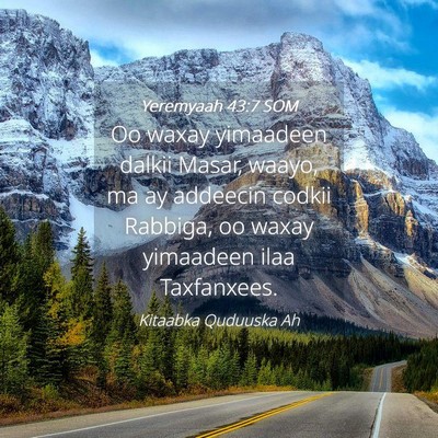 Picture 04 - Yeremyaah 43:7 SOM - Oo waxay yimaadeen dalkii Masar, waayo, ma ay - Bible Verse Picture