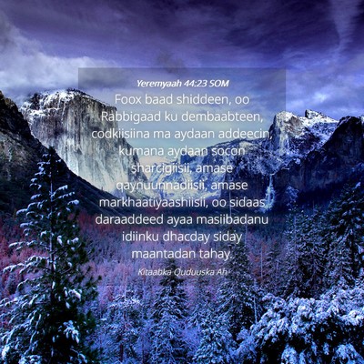 Picture 04 - Yeremyaah 44:23 SOM - Foox baad shiddeen, oo Rabbigaad ku dembaabteen, - Bible Verse Picture