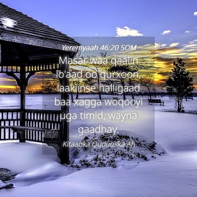 Picture 04 - Yeremyaah 46:20 SOM - Masar waa qaalin lo'aad oo qurxoon, laakiinse - Bible Verse Picture