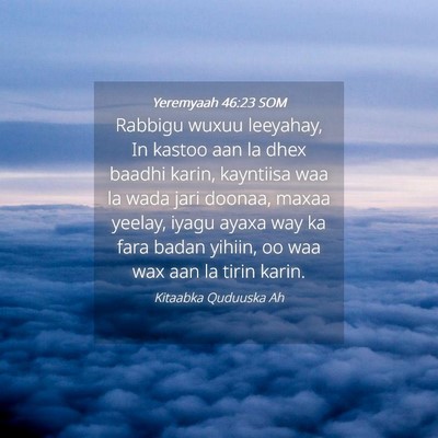 Picture 04 - Yeremyaah 46:23 SOM - Rabbigu wuxuu leeyahay, In kastoo aan la dhex - Bible Verse Picture