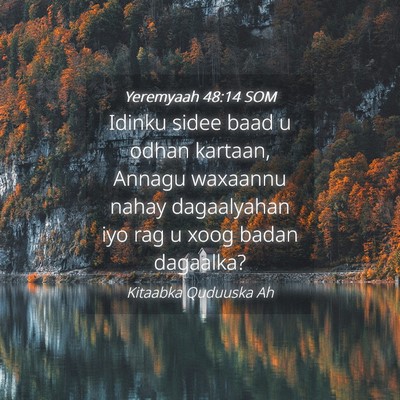 Picture 04 - Yeremyaah 48:14 SOM - Idinku sidee baad u odhan kartaan, Annagu - Bible Verse Picture