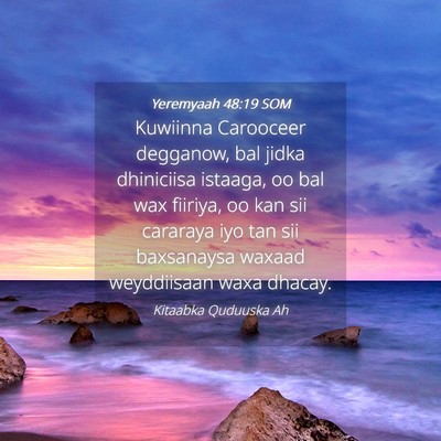 Picture 04 - Yeremyaah 48:19 SOM - Kuwiinna Carooceer degganow, bal jidka dhiniciisa - Bible Verse Picture