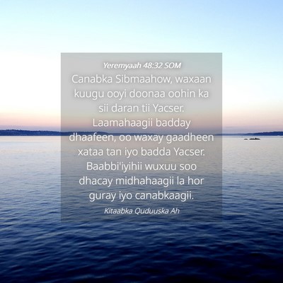 Picture 04 - Yeremyaah 48:32 SOM - Canabka Sibmaahow, waxaan kuugu ooyi doonaa oohin - Bible Verse Picture
